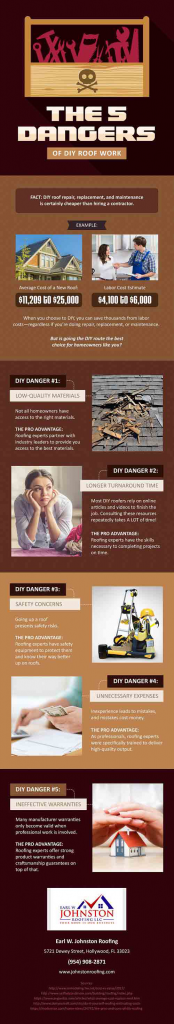 Infographics: The 5 Dangers of DIY Roof Work