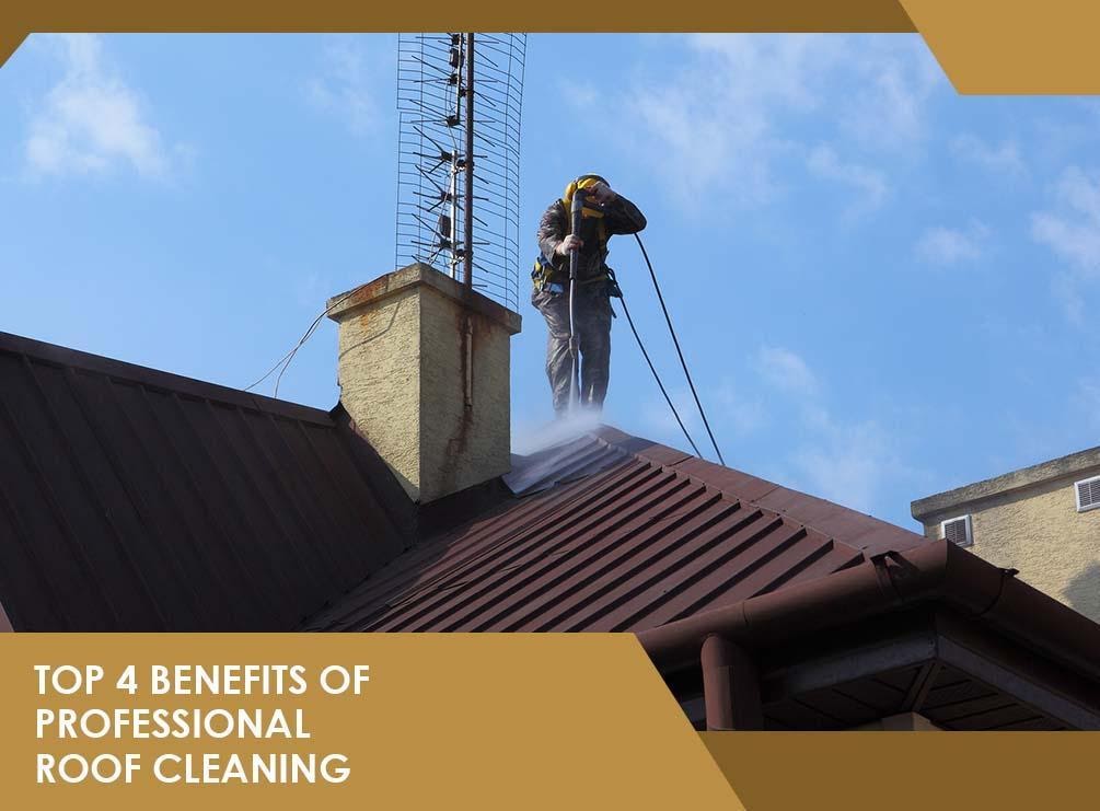 Roof Cleaning Services in Chevy Chase MD