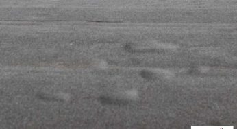 Flat Roof Blisters: Everything You Need to Know
