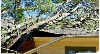 The 3 Worst Kinds of Debris for Your Roof