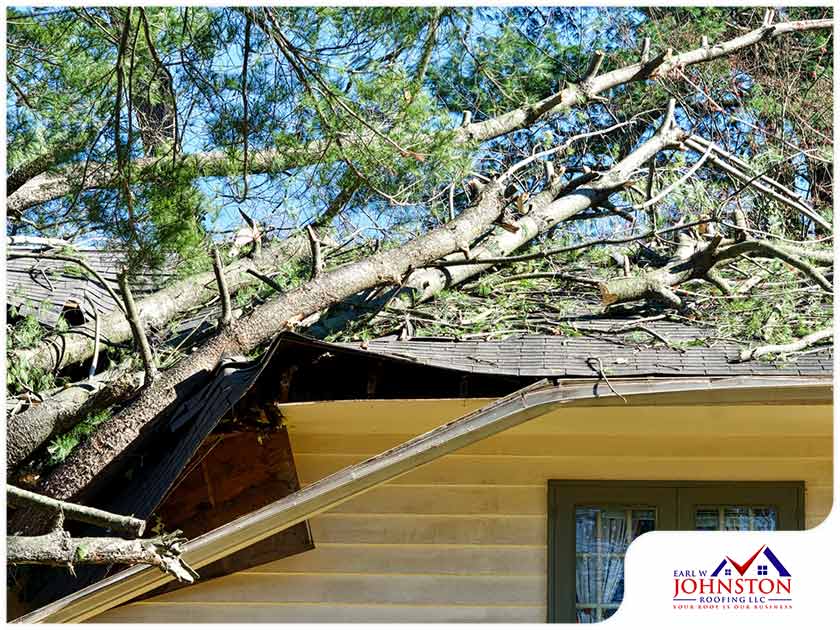 The 3 Worst Kinds of Debris for Your Roof