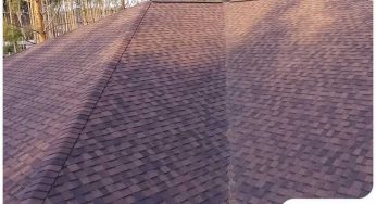 5 Asphalt Shingle Maintenance Mistakes to Avoid