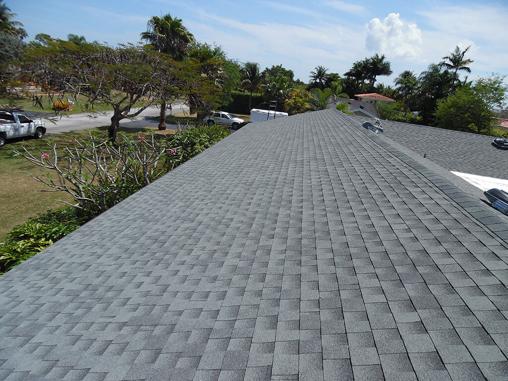 Shingle Roof Replacement