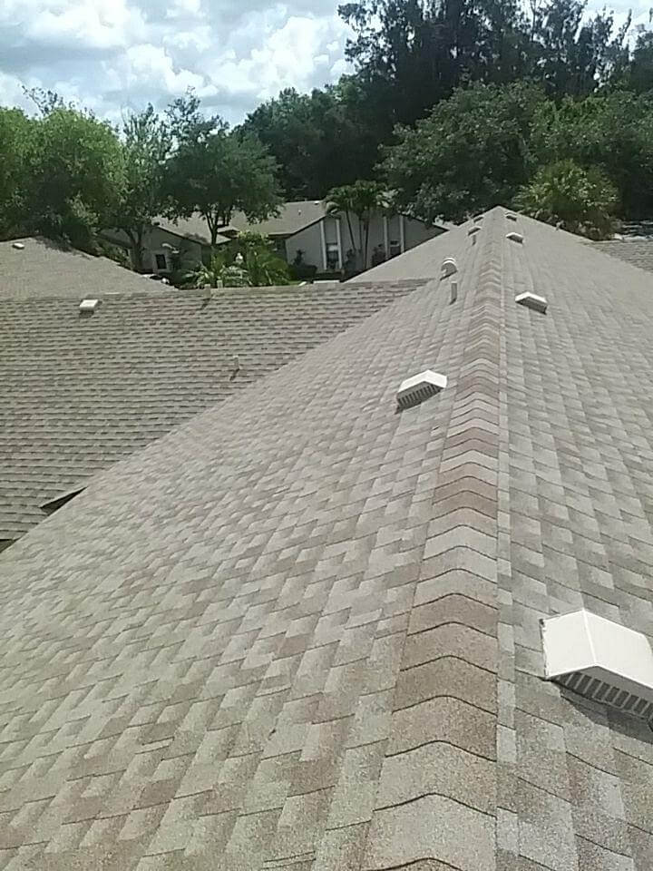 Professional Shingle Roof Installation