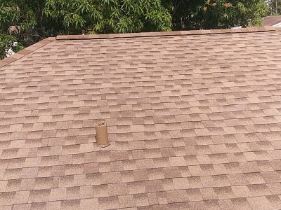 Shingle Roof Replacement