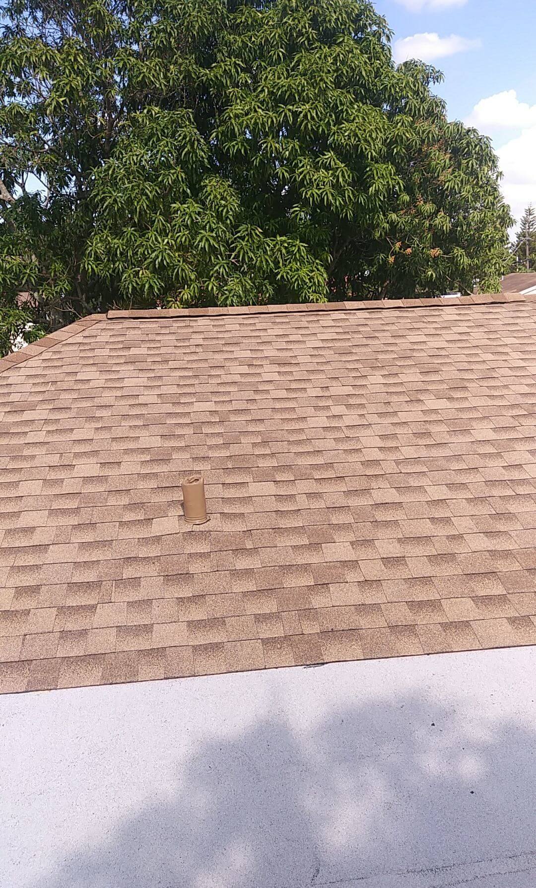 Shingle Roof Replacement