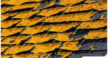 Why It’s Important to Know the Age of Your Roof