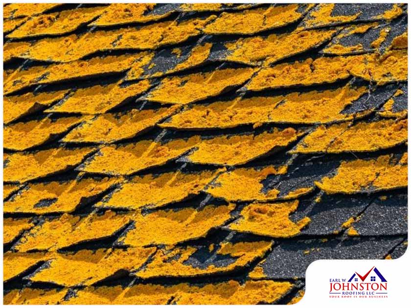 Why It S Important To Know The Age Of Your Roof