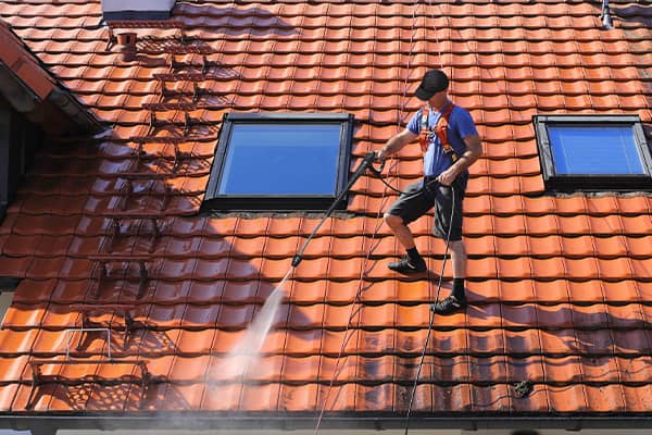 Professional Roof Cleaning