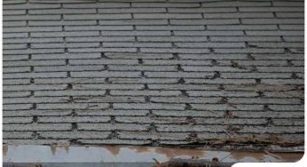 What You Need to Know About Roof Sagging