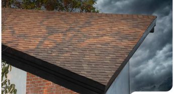 How Do the Elements Affect Your Roof?