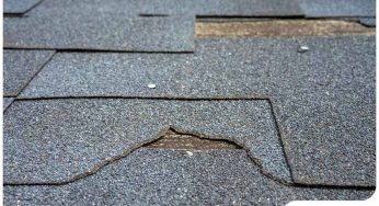 The Differences Between Shingle Cracking and Splitting