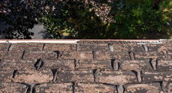 Roof Granule Loss: Should I Be Concerned?