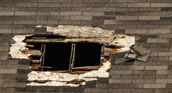 A Guide to Understanding Dry Roof Rot