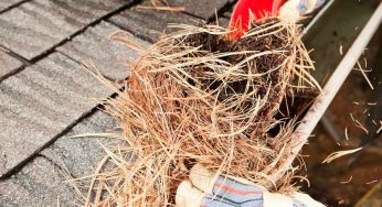 The Most Damaging Debris for Roofs